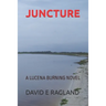 Juncture: A Lucena Burning Novel