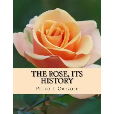 The Rose, Its History