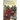Julius Caesar: A Life From Beginning to End