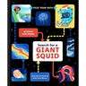 Search for a Giant Squid: Pick Your Path