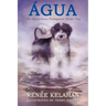 Agua, the Mysterious Portuguese Water Dog