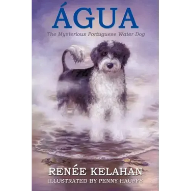 Agua, the Mysterious Portuguese Water Dog