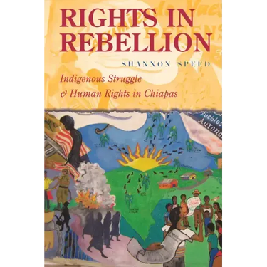 Rights in Rebellion: Indigenous Struggle and Human Rights in Chiapas