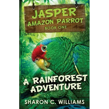 A Rainforest Adventure