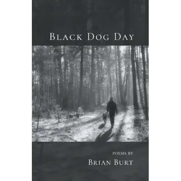 Black Dog Day
