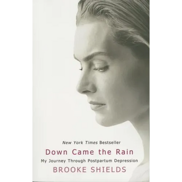 Down Came the Rain: My Journey Through Postpartum Depression