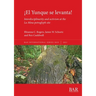 ¡El Yunque se levanta!: Interdisciplinarity and activism at the La Mina petroglyph site