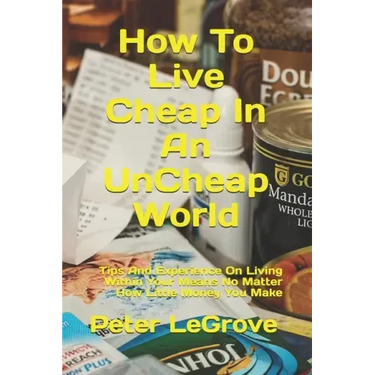 How To Live Cheap In An UnCheap World: Tips And Experience On Living Within Your Means No Matter How Little Money You Make
