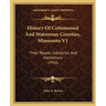 History Of Cottonwood And Watonwan Counties, Minnesota V1: Their People, Industries, And Institutions (1916)