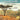 The Great Rift Valley Lakes: The Wildlife of Ethiopia In Afaan Oromo and English