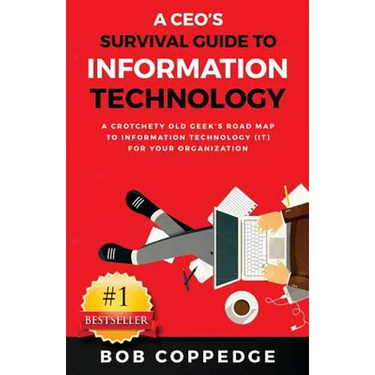 A CEO's Survival Guide to Information Technology