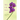 Tell it to the Flowers