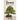 Bonsai: The Complete and Comprehensive Guide for Beginners