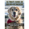 Ultimate Guide On Golden Retrievers: Where To Buy, Types, Care, Cost, Diet, Grooming, Training & More: How Do You Discipline A Golden Retriever