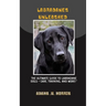 Labradanes Unleashed: The Ultimate Guide to Labradane Dogs - Care, Training, and More!