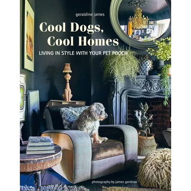 Cool Dogs, Cool Homes: Living in Style with Your Pet Pooch