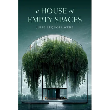 A House of Empty Spaces