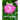 Rose coloring book: A Coloring Book of 35 Unique rose Coe Stress relief Book Designs Paperback