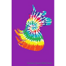 Rainbow Hippie Sheet Music