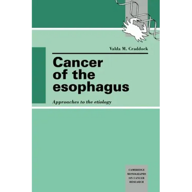 Cancer of the Esophagus: Approaches to the Etiology