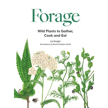 Forage: Wild Plants to Gather and Eat