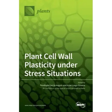 Plant Cell Wall Plasticity under Stress Situations