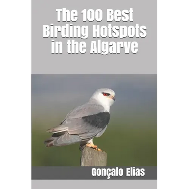 The 100 Best Birding Hotspots in the Algarve