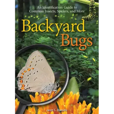 Backyard Bugs: An Identification Guide to Common Insects, Spiders, and More