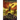 Rebel Dragon