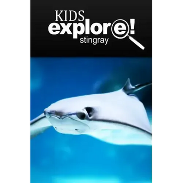 Stingray - Kids Explore: Animal books nonfiction - books ages 5-6