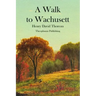 A Walk to Wachusett