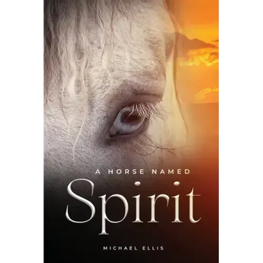 A Horse Named Spirit