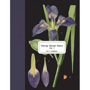 Vintage Botany Prints: Vol.7