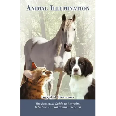 Animal Illumination: The Essential Guide to Learning Intuitive Animal Communication