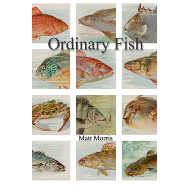 Ordinary Fish/Watt Worris