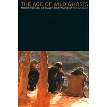 The Age of Wild Ghosts: Memory, Violence, and Place in Southwest China