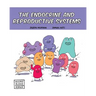 The Endocrine and Reproductive Systems