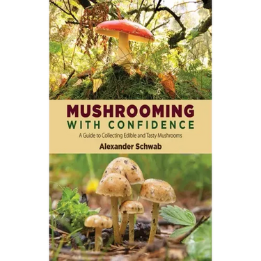 Mushrooming with Confidence: A Guide to Collecting Edible and Tasty Mushrooms
