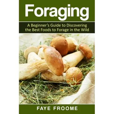 Foraging: A beginner's guide to discovering the best foods to forage in the wild