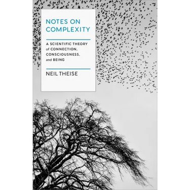 Notes on Complexity: A Scientific Theory of Connection, Consciousness, and Being