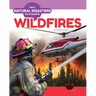 Wildfires