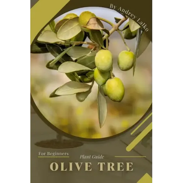 Olive Tree: Plant Guide