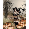 Fantasy Fae Adult Coloring Book