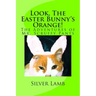 Look, The Easter Bunny's Orange: The Adventures of Mr. Scruffy Pants