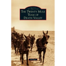 Twenty Mule Team of Death Valley