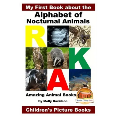 My First Book about the Alphabet of Nocturnal Animals - Amazing Animal Books - Children's Picture Books