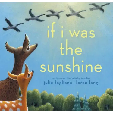 If I Was the Sunshine