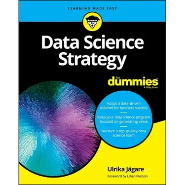 Data Science Strategy for Dummies