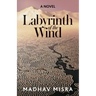 Labyrinth of the Wind: A Novel of Love and Nuclear Secrets in Tehran