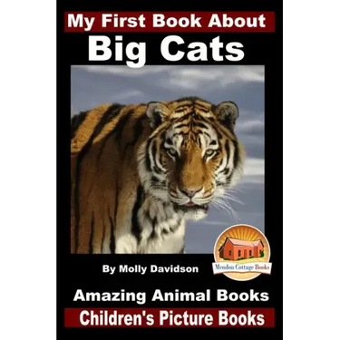 My First Book About Big Cats - Amazing Animal Books - Children's Picture Books